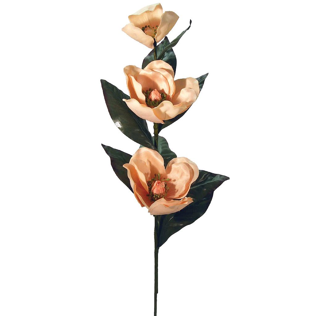 MAGNOLIA SPRAY X 3 W/OILY LVS  CREAM PEACH