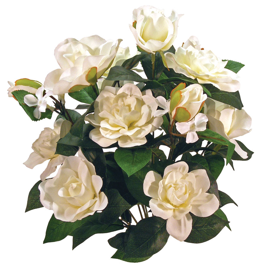 GARDENIA/STEPHAN 19&quot;  BUSH X14