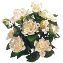 GARDENIA/STEPHAN 19&quot;  BUSH X14
