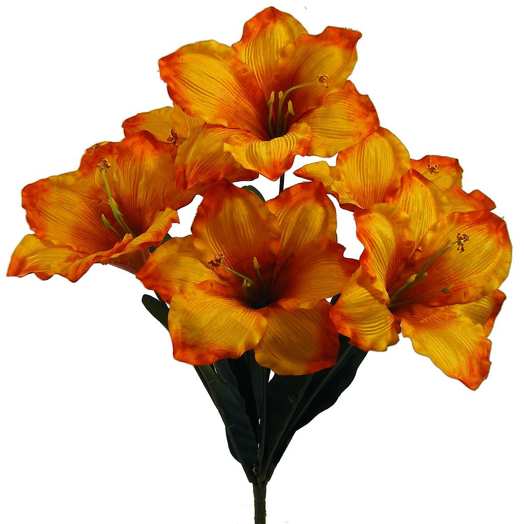[S100298-ORY] 22" AMARYLLIS BUSH X7 ORG/YELL