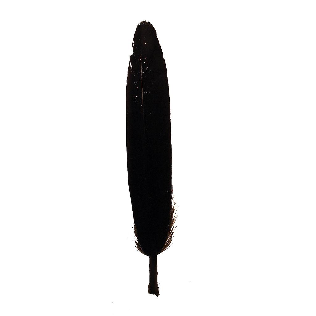 [BF42-BLK] 4" BLACK GLITTER FEATHERS