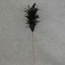 FEATHER SPRAY 32" ON 17" PICK  BLACK