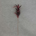 32" FEATHER SPRAY ON 17" PICK RED