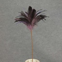 FEATHER SPRAY 16" W/CENTER GEM