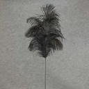 FEATHER SPRAY OSTRICH 30"  BLACK