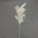 FEATHER SPRAY OSTRICH 30"  WHITE