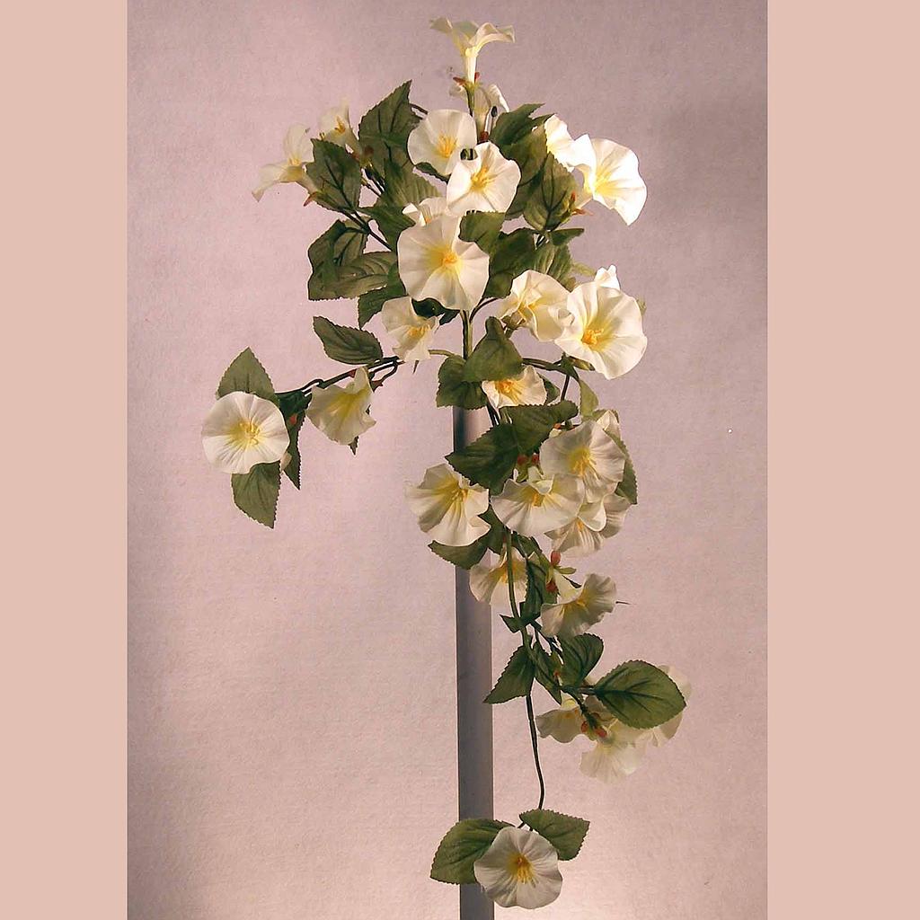 [S4427-WHT] PETUNIA HANGING VINE BUSH x14  WHITE