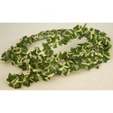 GARLAND 6' NEEDLEPOINT MINI IVY W/185 LVS VARIEGATED