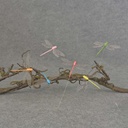 4" DRAGONFLY 6-ASST ON WIRE
