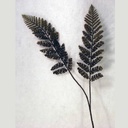 31" FERN BOSTON SPRAY X2 DARK BROWN