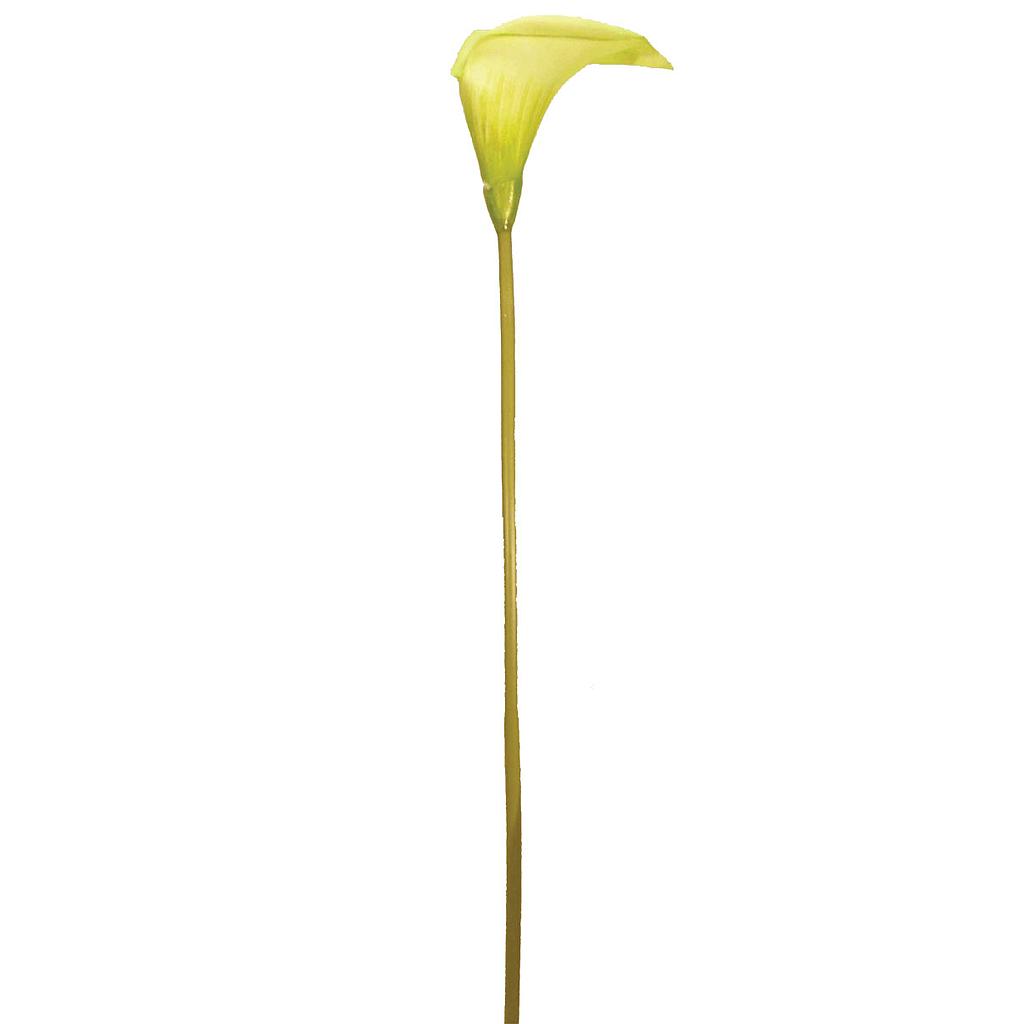 [S119139-GRN] 24" CALLA LILY SPRAY GREEN SGL 6PC BG