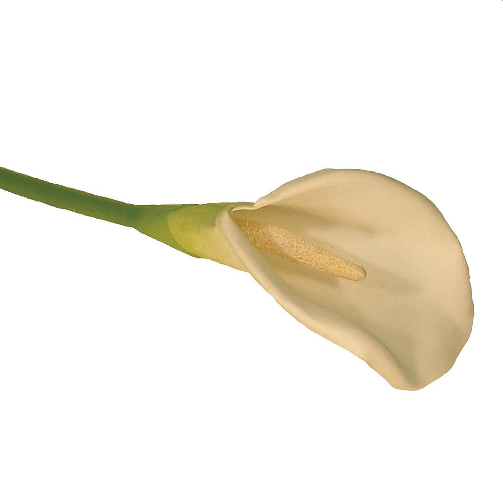 [S32009] 29" CALLA LILY STEM LARGE WHITE
