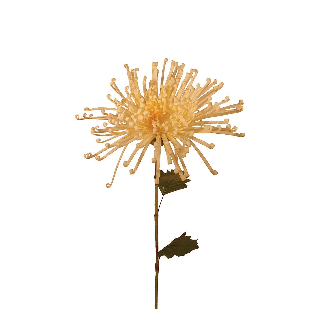 [S20045-CRM] 21" MUM FUJI SPRAY CREAM