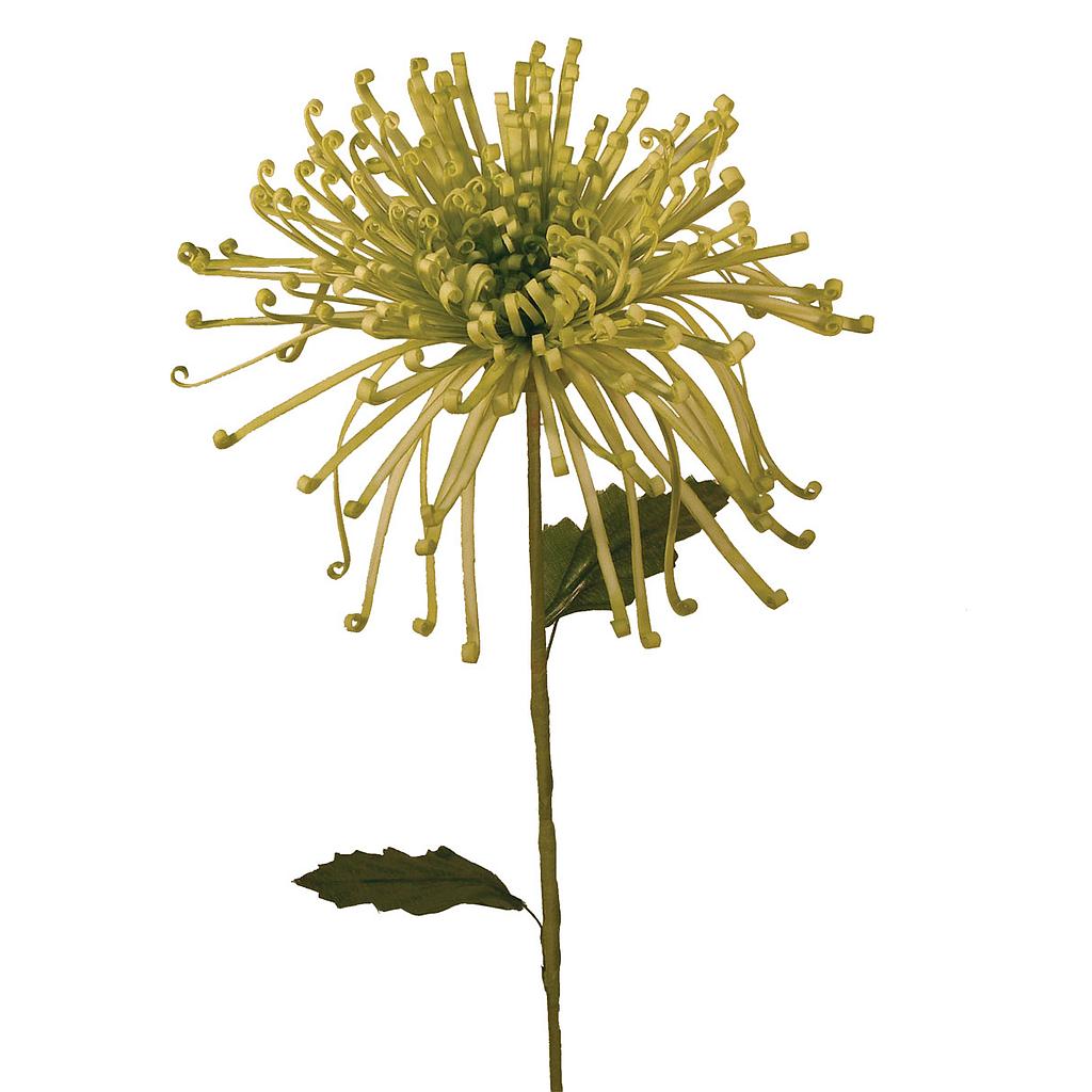 [S20045-GRN] 21" MUM FUJI SPRAY GREEN
