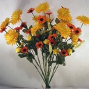 MIXED BUSH DAISY/MUM X12