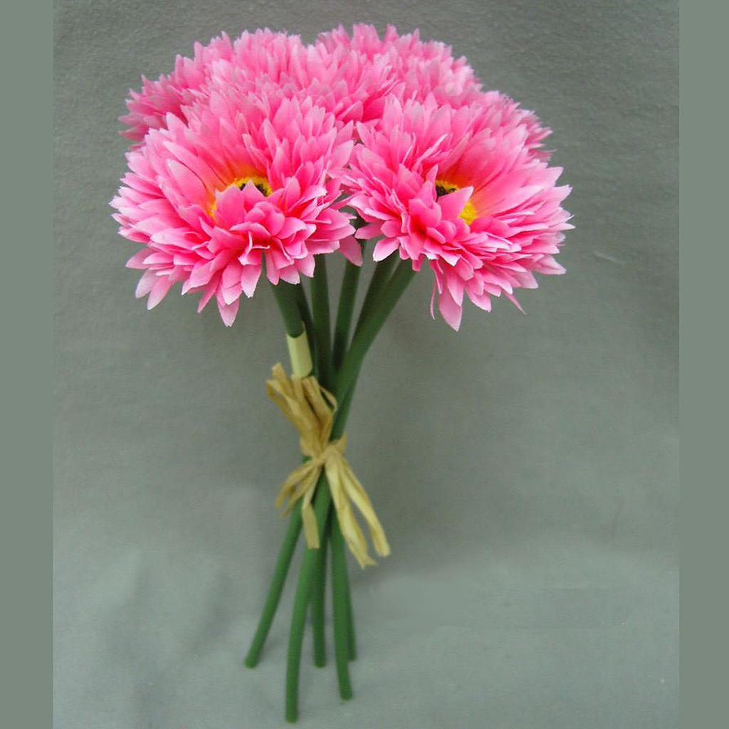 [S4934-HPK] 10" MUM ASTER BUNDLE X6 HOT PINK