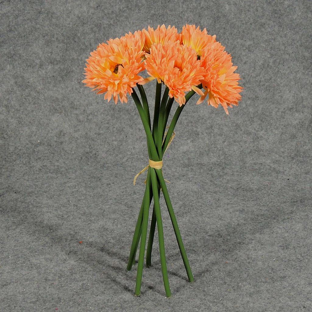 MUM ASTER 10" BUNDLE X6  PEACH