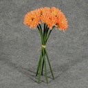 10" MUM ASTER BUNDLE X6 PEACH