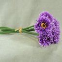 10" MUM ASTER BUNDLE X6 PURPLE