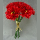 10" MUM ASTER BUNDLE X6 RED