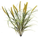WHEAT BUSH FLOCKED X14 YELLOW