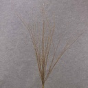 TWIG ARTIFICIAL HONEYSUCKLE 32" NATURAL BROWN