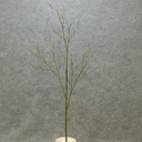 31" TWIG SPRAY X3 SAGE 1 DZ PER BAG