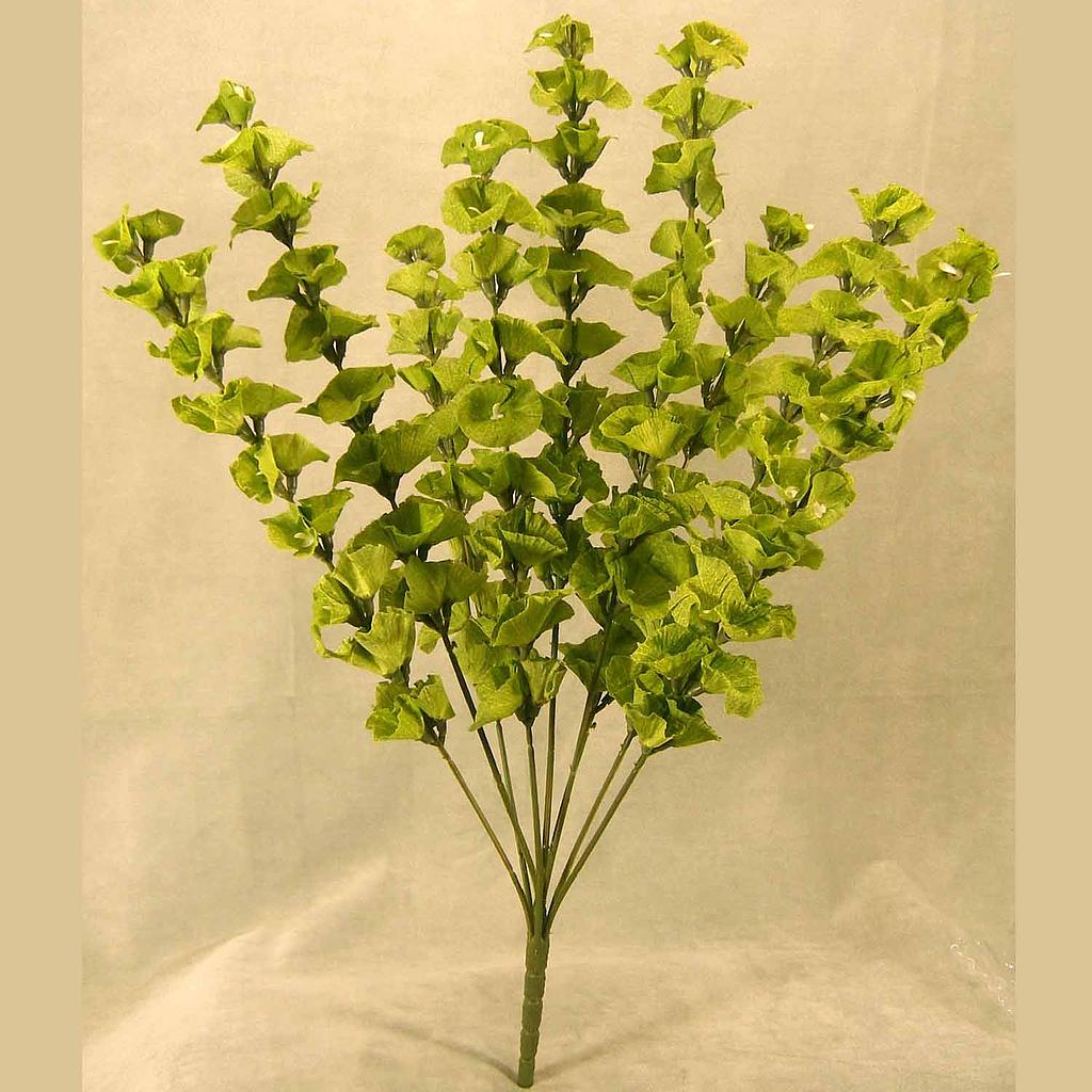 BELLS OF IRELAND 27"   BUSH X9