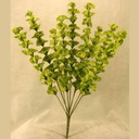27" BELLS OF IRELAND BUSH X9