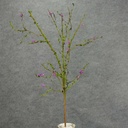 34" TWIG MOSS SPRAY W/PURPLE BLOSSOMS