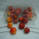 FRUIT APPLES 4 ASSORTED(24/BOX)