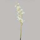 31.5" DENDROBIUM SPRAY WHITE