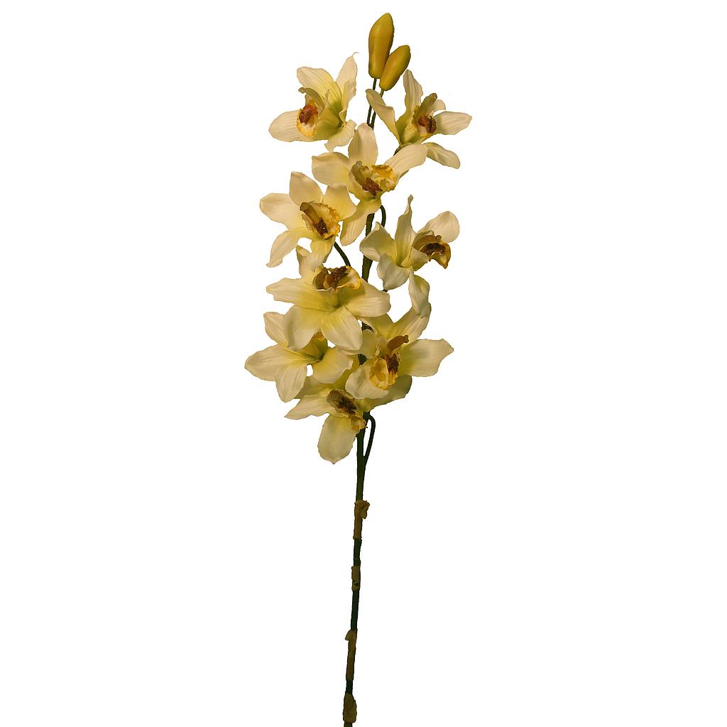 [S2581-CRM] 34" CYMBIDIUM ORCHID SPRAY