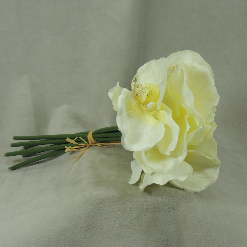 ORCHID 10.5" SATIN BUNDLE X6  CREAM