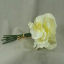 ORCHID 10.5" SATIN BUNDLE X6  CREAM