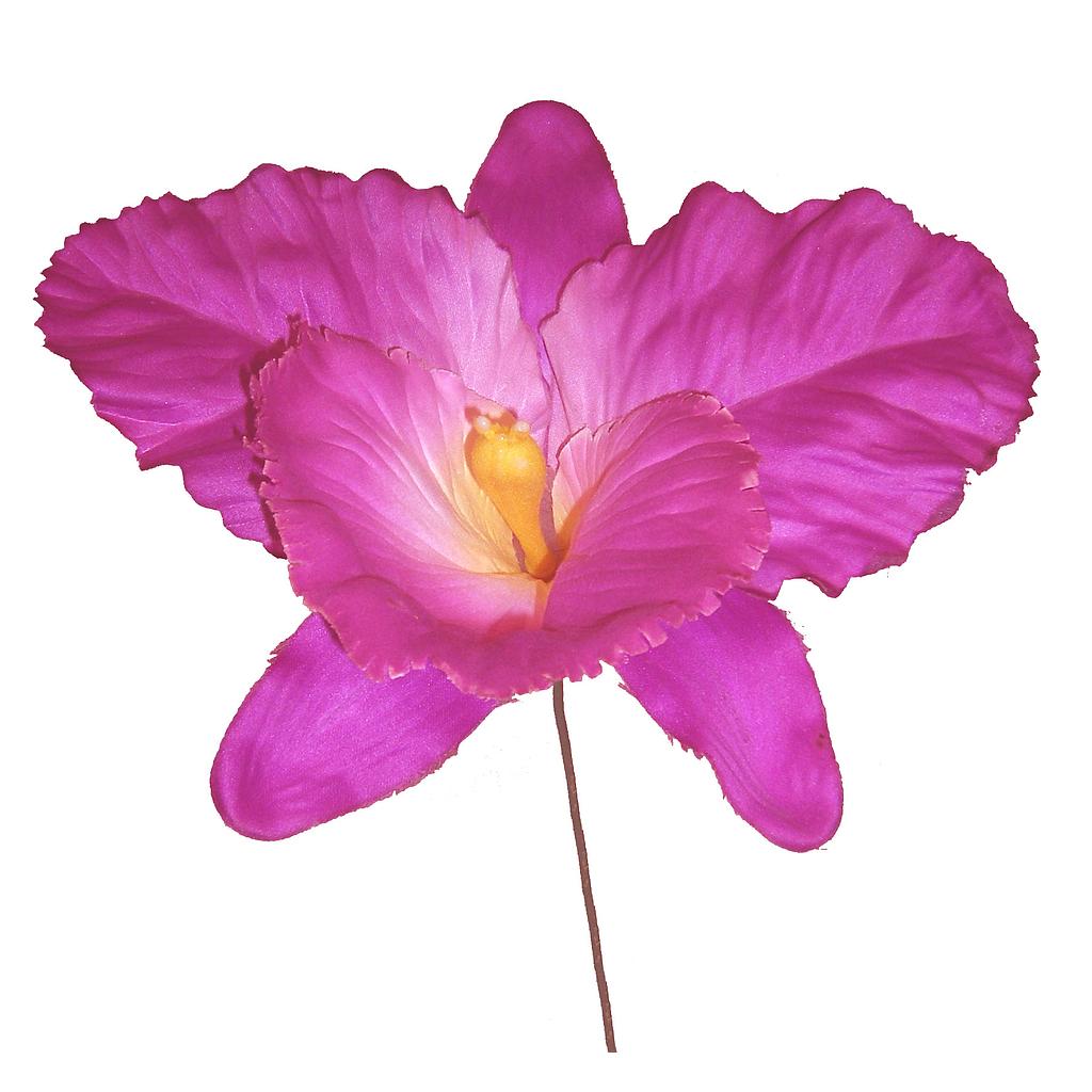 [S691422-PUR] ORCHID PICK          PURPLE