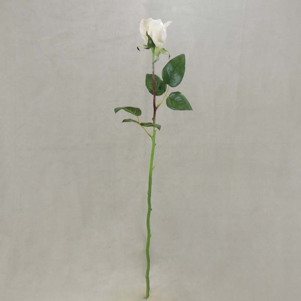 [S331505-CRM] ROSE BUD LARGE CREAM