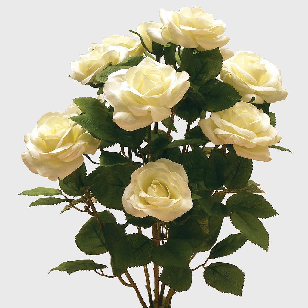 [S37070-CRM] ROSE BUSH MIXED GARDEN TEA X12  CREAM