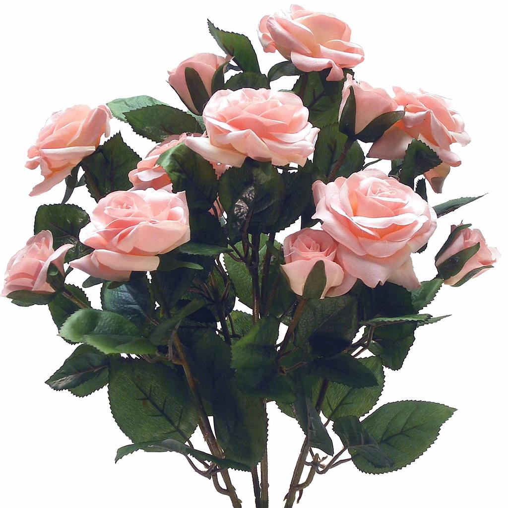 [S37070-PNK] ROSE BUSH MIXED GARDEN TEA X12  PINK