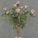 ROSE BUSH MINI   X11 LAVENDER