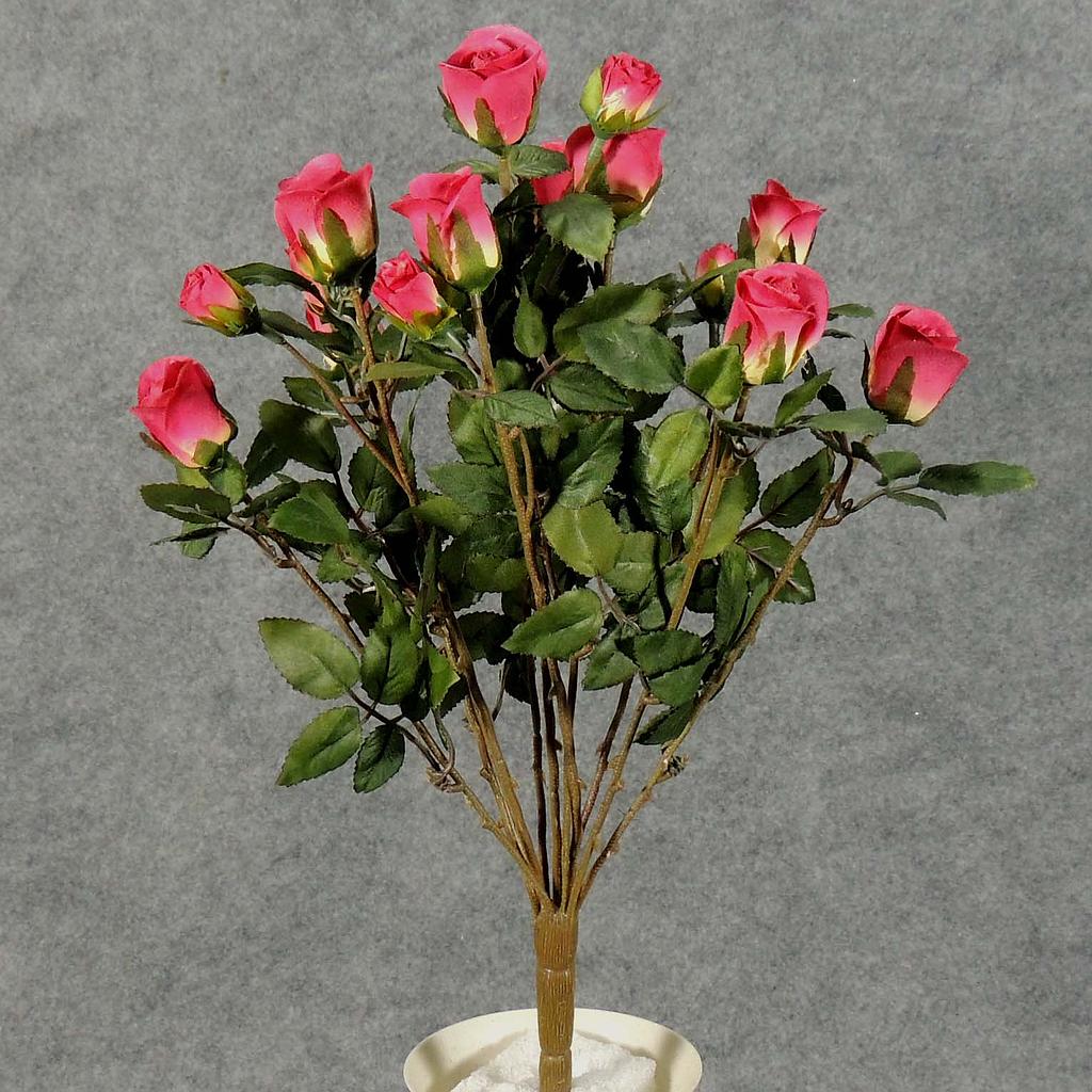 [S5265-BEA] ROSE BUSH MINI   X11  BEAUTY