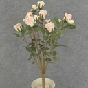 ROSE BUSH MINI   X11 LT. PINK