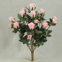 ROSE BUSH MINI   X11    PINK