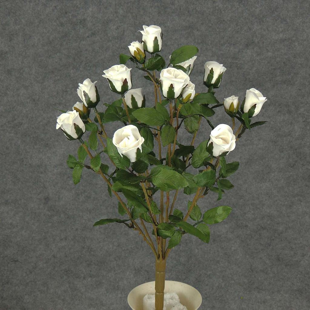 [S5265-WHT] ROSE BUSH MINI   X11 TRUE WHITE