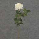 26" ROSE STEM LARGE OPEN CREAM/WHITE
