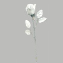 ROSE STEM   BUD SILVER  (1 DZ/BAG) 
