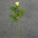 26" ROSE STEM LARGE BUD LIGHT YELLOW