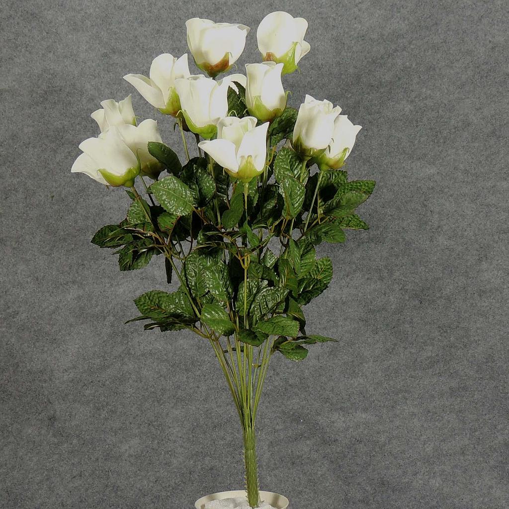 ROSE BUD BUSH X 14  CREAM