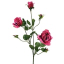 ROSE X3 LIFE LIKE  BEAUTY