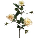 ROSE X3 LIFE LIKE   CREAM